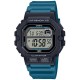 CASIO WS-1400H-3AVEF