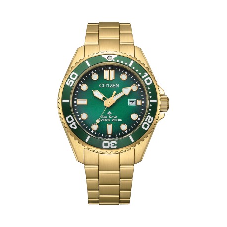 CITIZEN BN0262-59W Promaster Eco-Drive