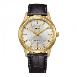 CITIZEN AW0102-13A Eco-Drive