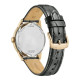 CITIZEN Elegance Classic AW0153-04AC Day-Date