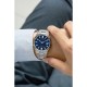 CITIZEN Tsuyosa NJ0150-81L