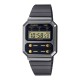 CASIO A100WEGG-1A2EF